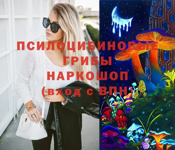 прущие грибы Богородицк