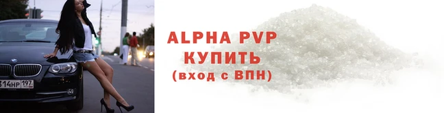 прущие грибы Богородицк
