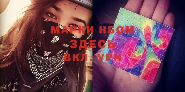 прущие грибы Богородицк