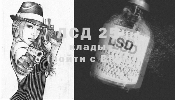 прущие грибы Богородицк