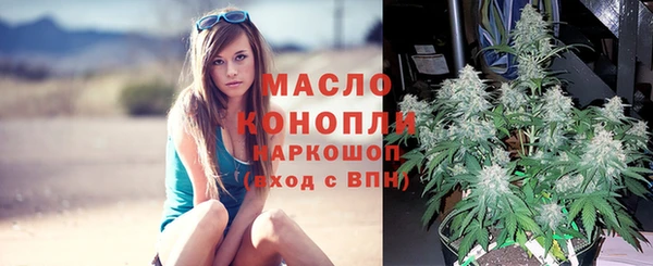 jwh Богородск